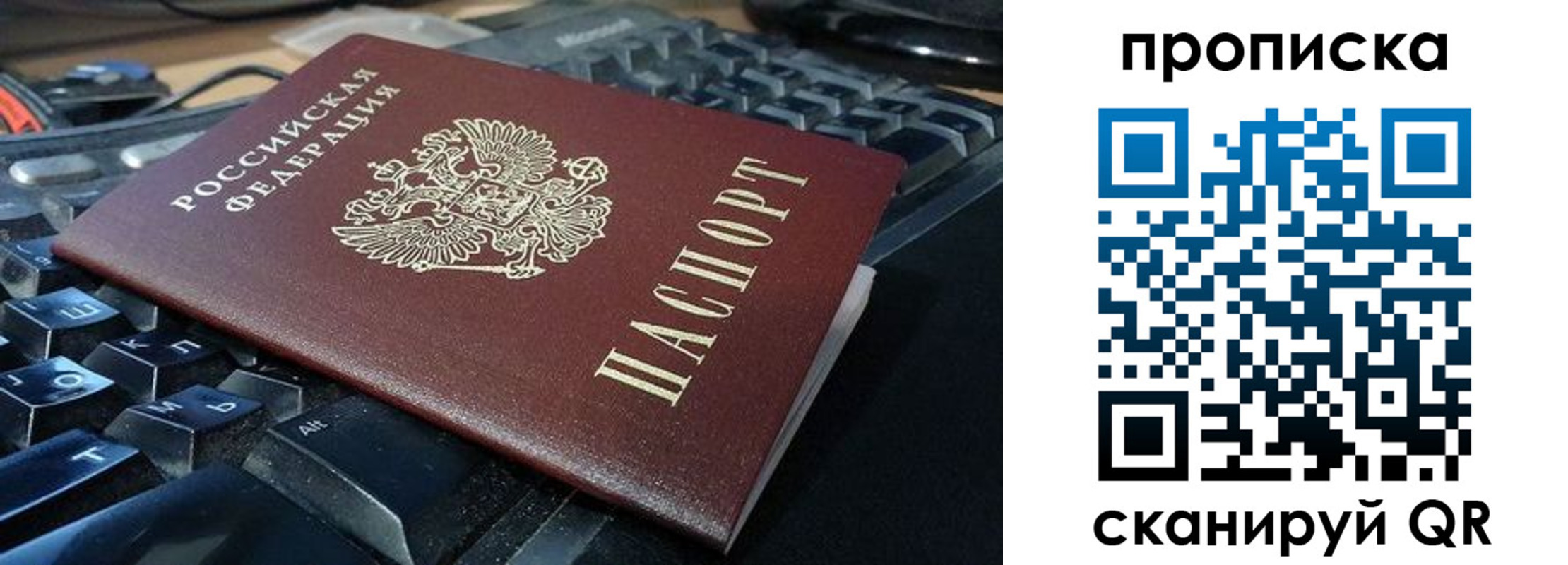 прописка иностранных граждан в Калининградской области